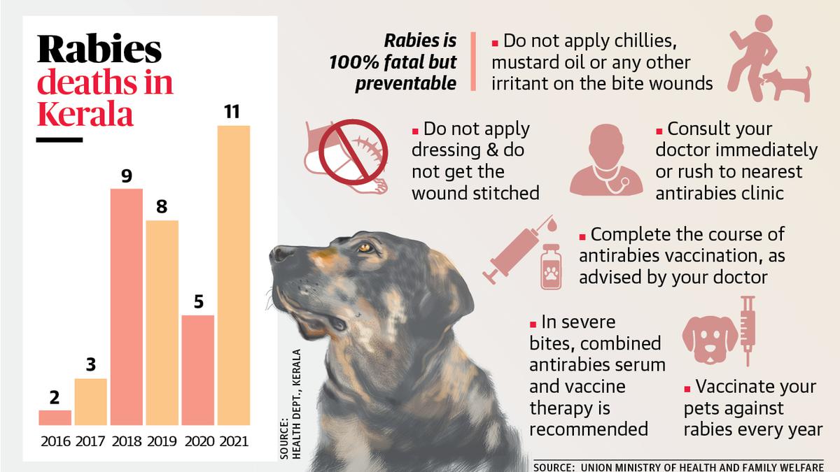 Dog bite store with anti rabies